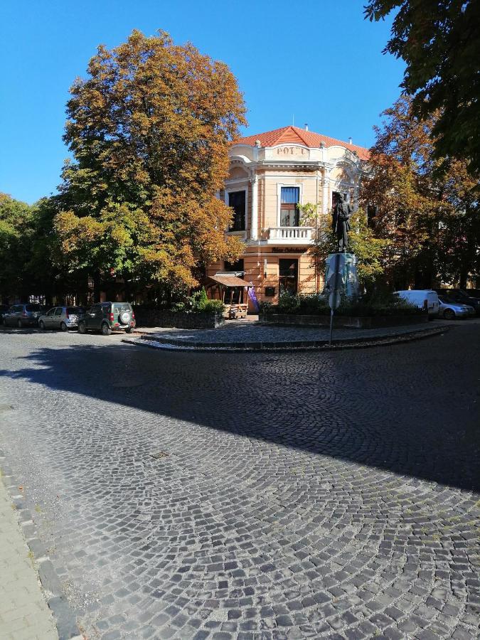 Kisfaludy Vendeghaz -Suemeg- Zewnętrze zdjęcie