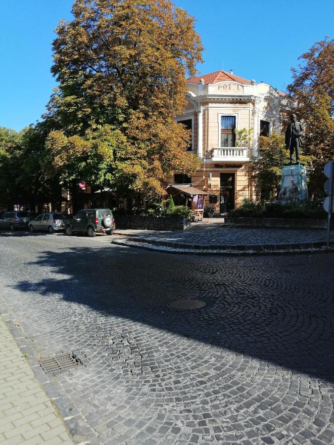 Kisfaludy Vendeghaz -Suemeg- Zewnętrze zdjęcie